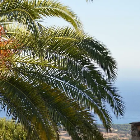 Holiday home Maison Corse En Balagne Cateri